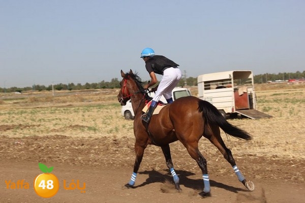 horse race 0602 (30).JPG